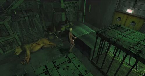 A broken forklift in the zoo area