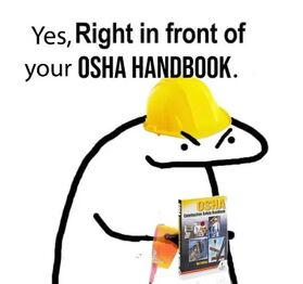 A variant responding to the meme itself