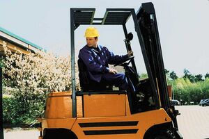 Staplerfahrer Klaus 01.jpg