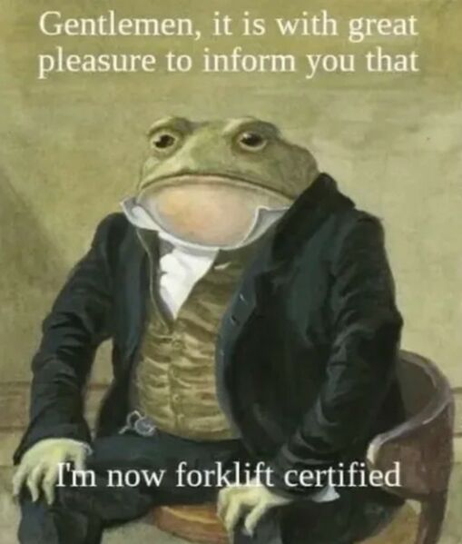 File:Meme certified frog.jpg
